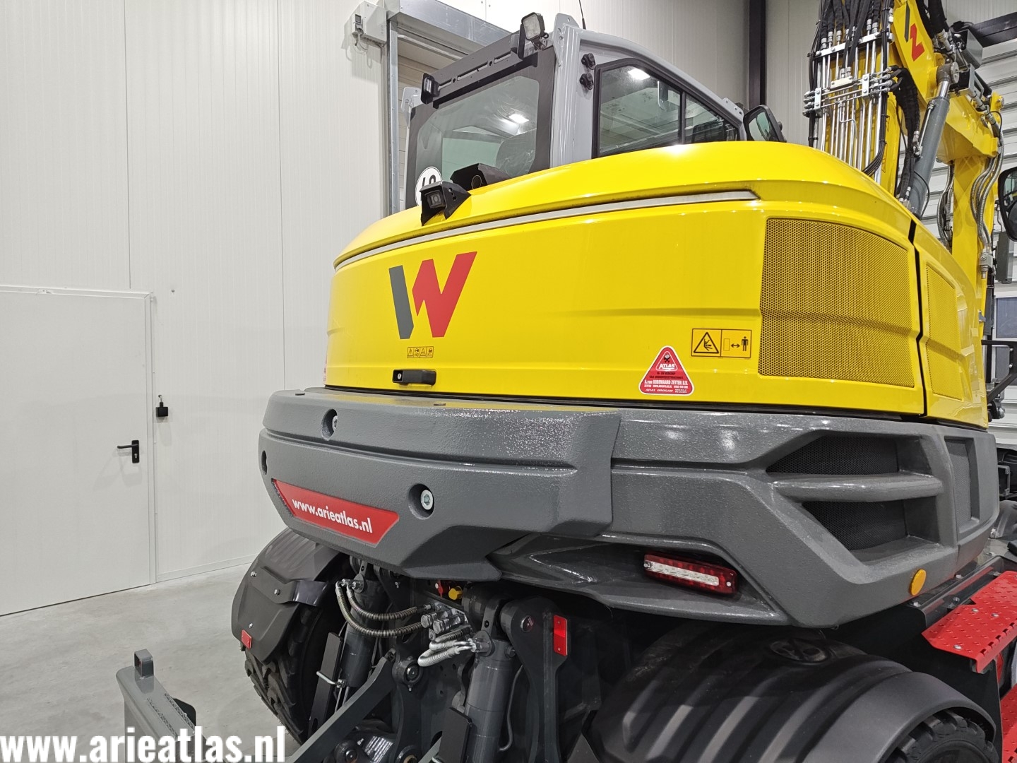 IMG_20250108_163738106 (Groot)